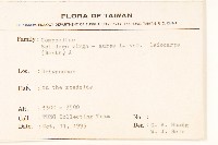 一枝黃花藏品圖，第2張