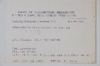 玉山沙參藏品圖，第2張