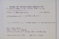 玉山沙參藏品圖，第2張