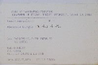 輪葉沙參藏品圖，第2張