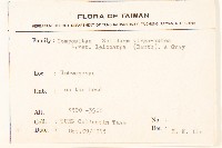 一枝黃花藏品圖，第2張