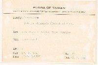 蟛蜞菊藏品圖，第2張