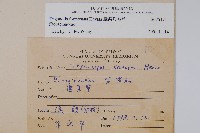 臺灣附地草藏品圖，第2張