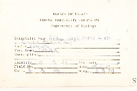 一枝黃花藏品圖，第2張