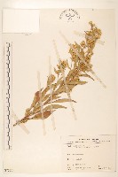 登錄號:S075179藏品圖，第1張