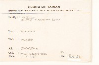 登錄號:S075179藏品圖，第2張