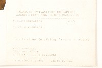 蔓黃菀藏品圖，第2張