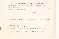 一枝香藏品圖，第2張