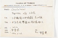 天茄兒藏品圖，第2張