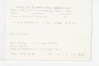 銳葉牽牛藏品圖，第2張