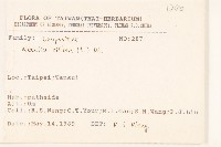 雙花蟛蜞菊藏品圖，第2張