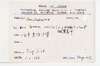 番仔藤藏品圖，第2張