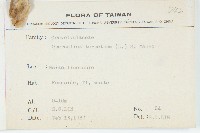 盒果藤藏品圖，第2張