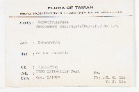 娥房藤藏品圖，第2張