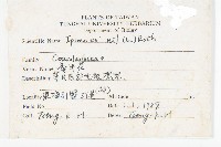 牽牛花藏品圖，第2張