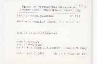 菜欒藤藏品圖，第2張