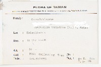 盒果藤藏品圖，第2張