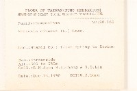 一枝香藏品圖，第2張