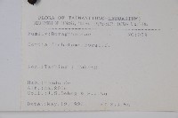 破布子藏品圖，第2張