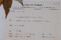 蘭邯千金榆藏品圖，第2張