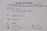 蘭邯千金榆藏品圖，第2張