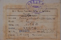 臺灣黃楊藏品圖，第2張