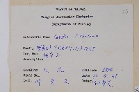 破布子藏品圖，第2張