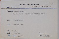 琉璃草藏品圖，第2張