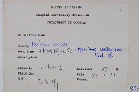 非洲鳳仙花藏品圖，第2張