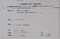 玉山小蘗藏品圖，第2張