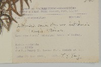 太魯閣艾藏品圖，第2張