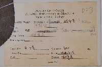 破布烏藏品圖，第2張