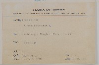 鬼針舅藏品圖，第2張