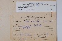 普刺特草藏品圖，第2張