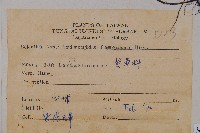 臺灣附地草藏品圖，第2張