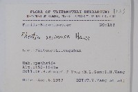 恆春厚殼樹藏品圖，第2張