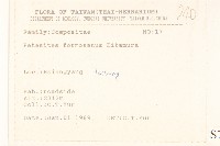 臺灣款冬藏品圖，第2張