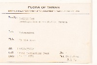 尼泊爾籟簫藏品圖，第2張