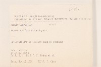 臺灣澤蘭藏品圖，第2張