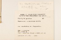 田代氏澤蘭藏品圖，第2張