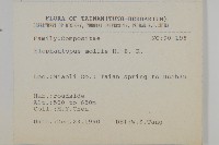 地膽草、毛蓮菜藏品圖，第2張