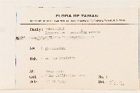 水冬瓜藏品圖，第2張