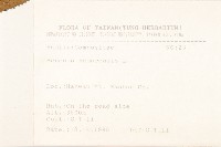 黃菀藏品圖，第2張