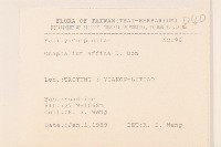 鼠麴草藏品圖，第2張