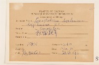 秋鼠麴草藏品圖，第2張