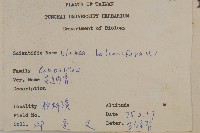 臺灣馬蘭藏品圖，第2張