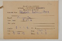 艾納香藏品圖，第2張