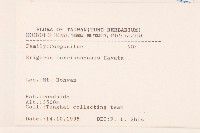 玉山飛蓬藏品圖，第2張