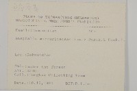 抱莖籟簫藏品圖，第2張