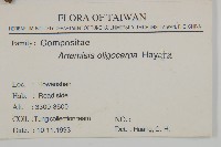 高山艾藏品圖，第2張